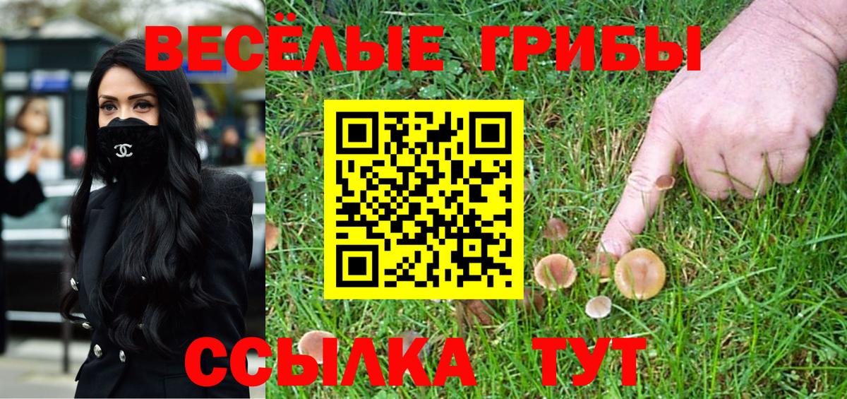 Псилоцибиновые грибы Psilocybe  Галлюциногенные грибы мицелий  Вход с VPN  Кимовск 