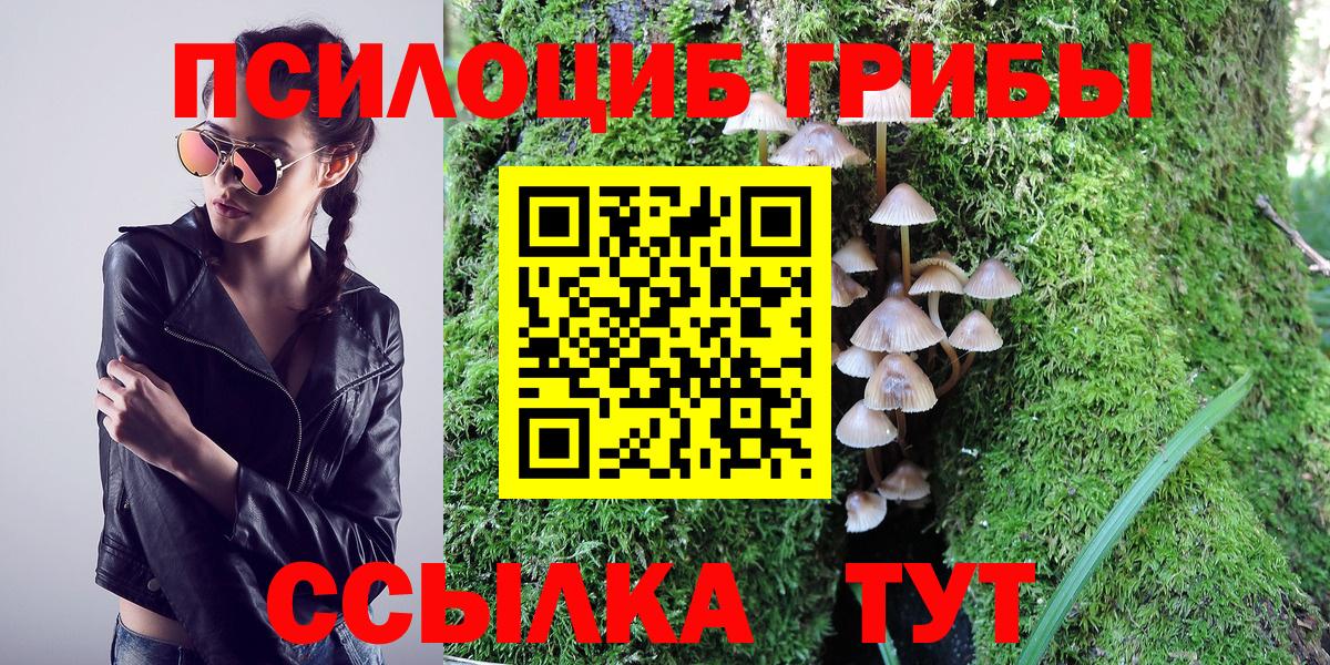 Псилоцибиновые грибы GOLDEN TEACHER Кимовск